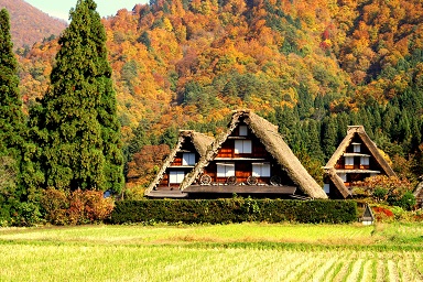 日帰り/飛騨高山＆世界遺産　白川郷散策