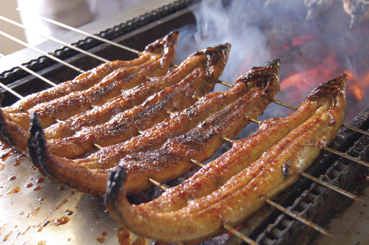 日帰り/愛知　炭火手焼三河産うなぎといちご狩り（名・春）