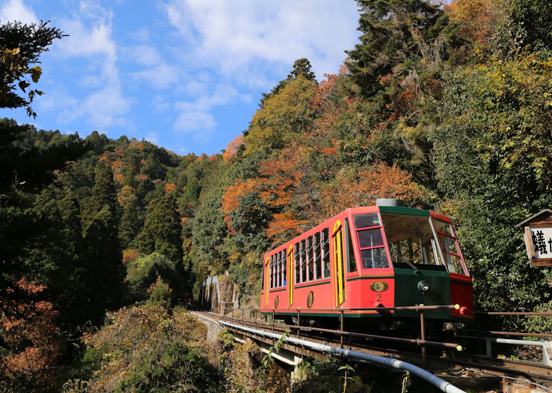 日帰り/≪ハイキングツアー≫紅葉に染まる坂本から比叡山延暦寺を歩く