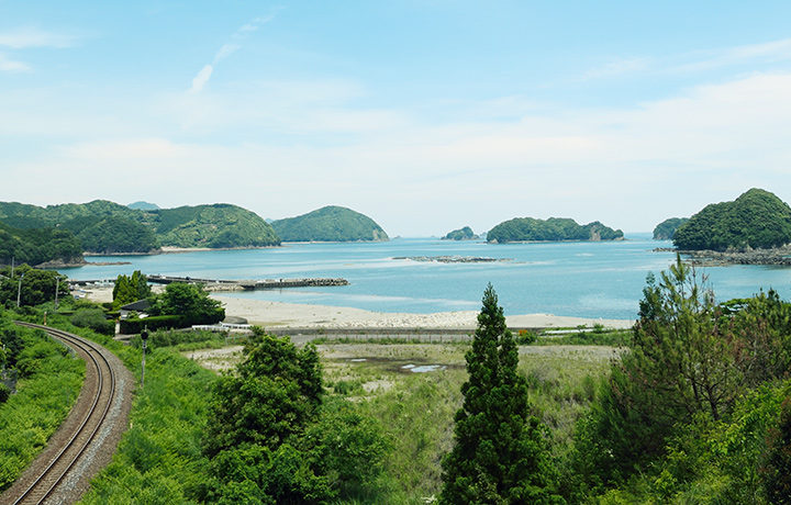 日帰り/≪ハイキングツアー≫世界遺産の熊野古道　三浦峠を歩こう