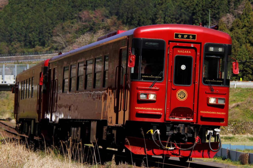 日帰り/岐阜　観光列車ながら 「スイーツ列車」と日本最大級のベゴニア畑で癒しの旅