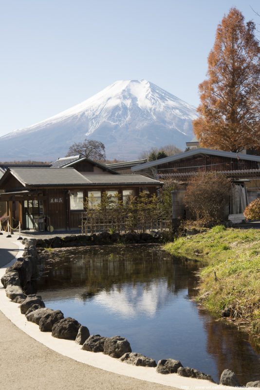 宿泊/富士山ビュースポット巡り　河口湖温泉