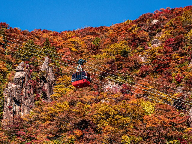 日帰り/三段紅葉の御在所岳とまぐろ解体ショーin VISON