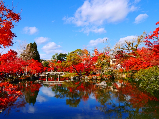 日帰り/金戒光明寺と深紅に染まる真如堂ともみじの永観堂（名・春・岐・東濃）