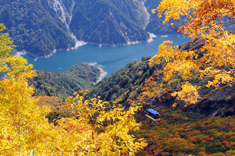 宿泊/お１人様参加ＯＫ！紅葉の立山黒部アルペンルート通り抜け