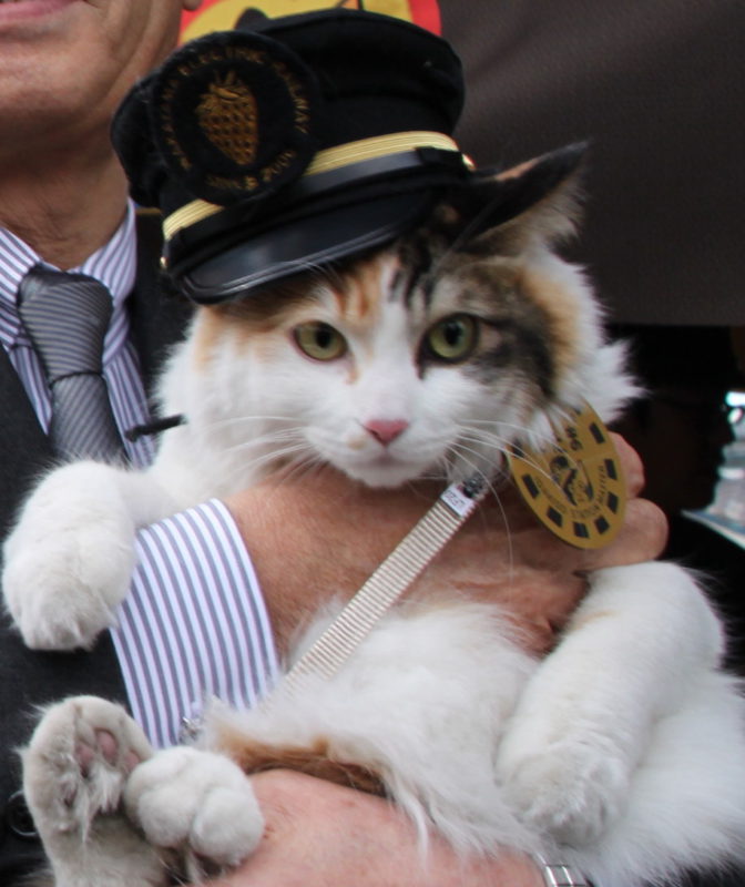 宿泊/ねこの駅長で話題の和歌山電鐵＆日本最短のローカル線・紀州鉄道に乗ろう！和歌山・加太（かだ）温泉