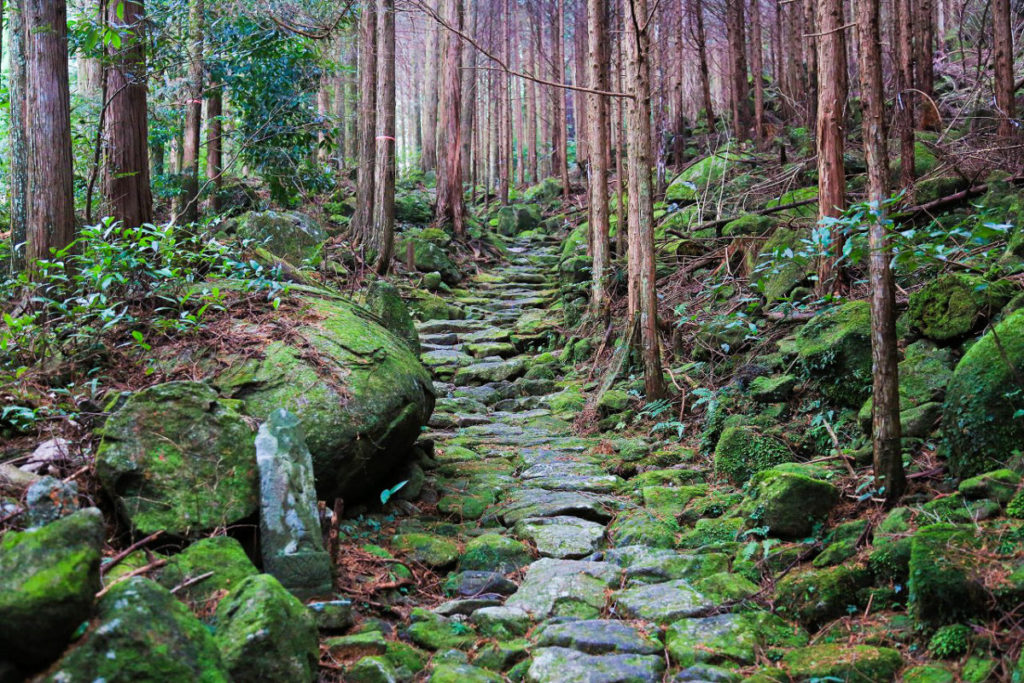 日帰り/≪上級者専用ハイキングツアー≫熊野古道　伊勢路最大の難所　八鬼山越え