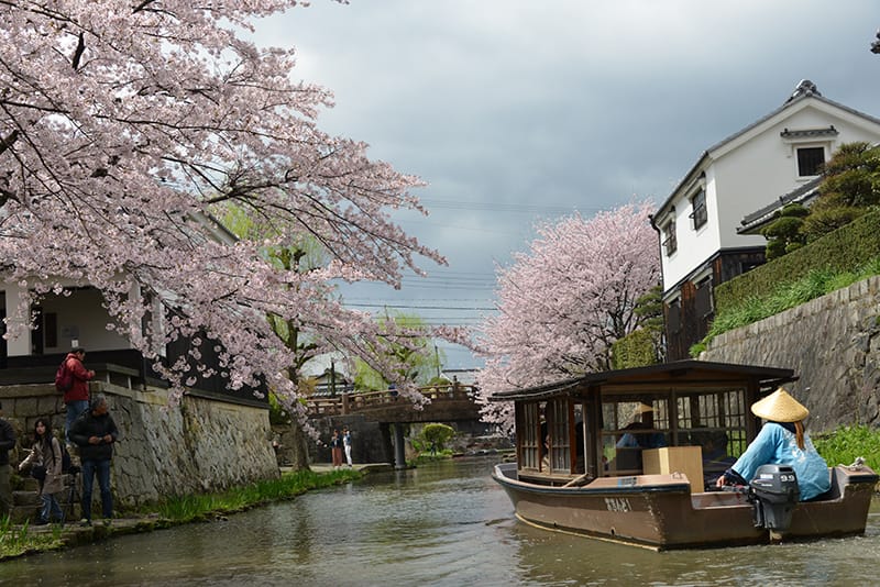 日帰り/近江八幡 ゆらり八幡掘めぐりと旧酒蔵を改装したレストランで近江牛ランチ🎀２㌽