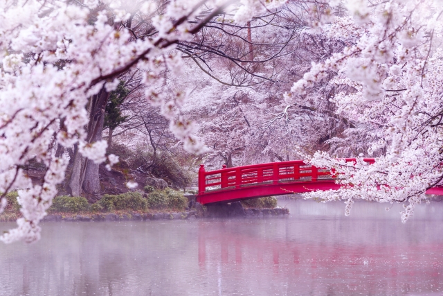 宿泊/＊１泊４食付き＊信州　日本の桜の名所１００選めぐり『臥龍公園・小諸城址・高遠城址＆白樺リゾート池の平ホテル』