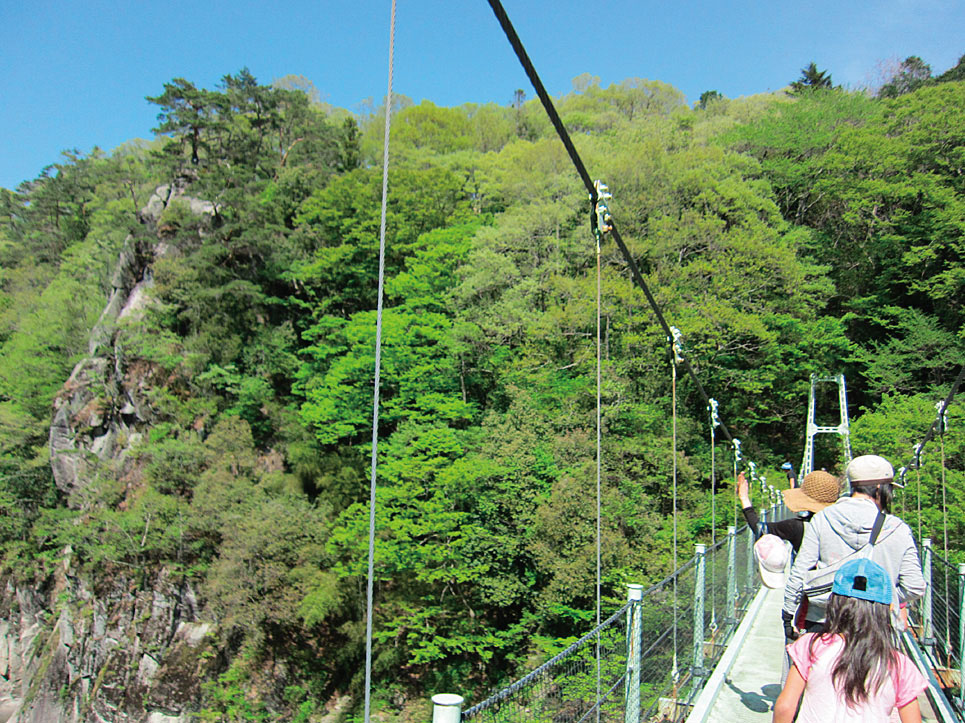 日帰り/≪ハイキングツアー≫天竜川の浸食が造り出した峡谷　名勝天龍峡を歩こう